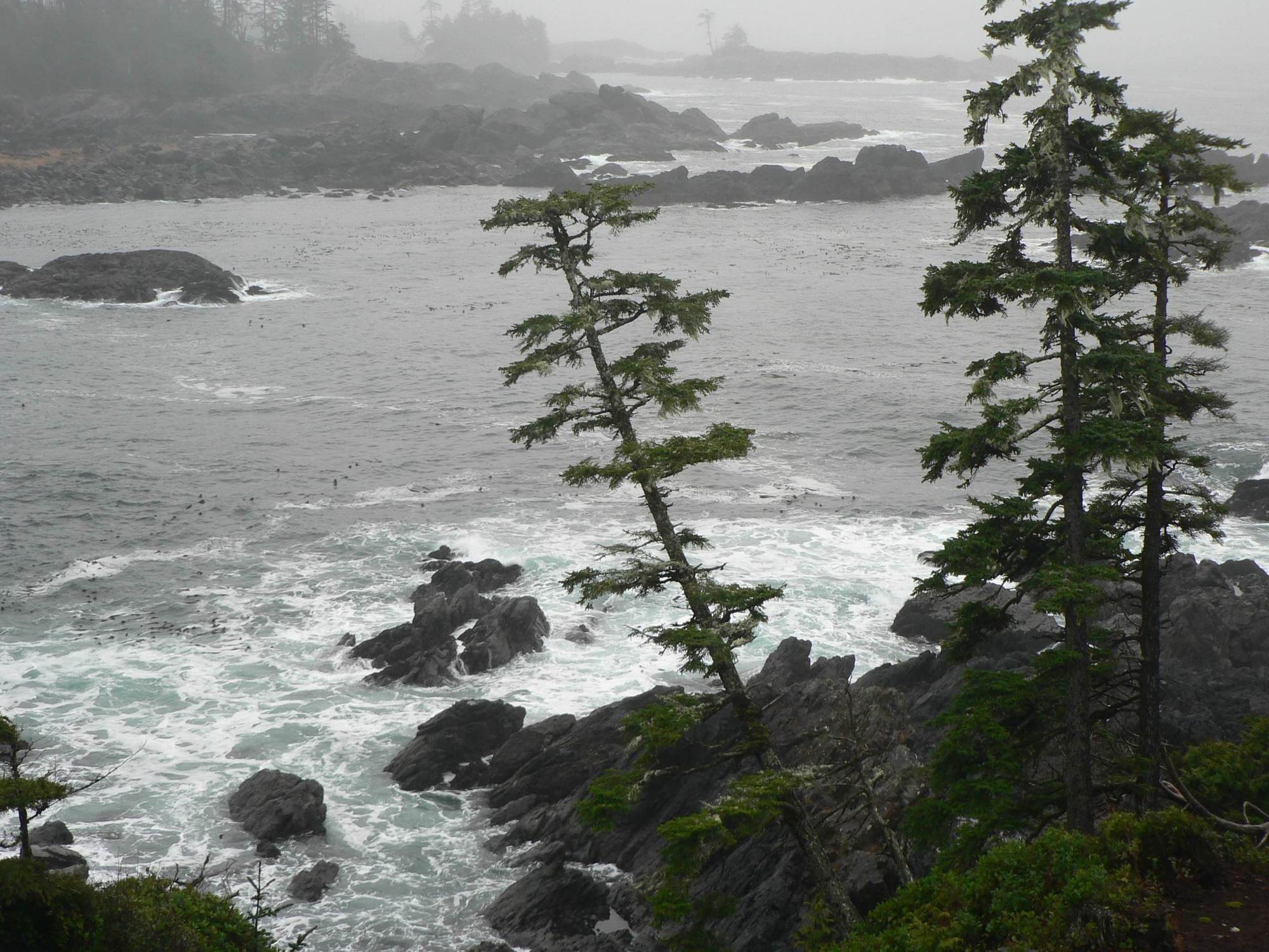 Black Rock Oceanfront Resort Ucluelet Εξωτερικό φωτογραφία